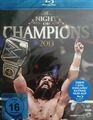 WWE*WWF*WCW*ECW*AEW*UWF*TNA Wrestling Night of Champions 2013 RAW Smackdown NEU*