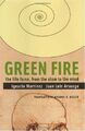 Green Fire: The Life Force, from the Atom to the Min by Arsuaga, Juan 1568583079