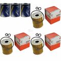 3x Original MAHLE / KNECHT Ölfilter OX 422D + 3x SCT Motor Flush Motorspülung