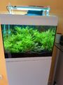 OASE AQUARIUM MIT UNTERSCHRANK FILTER CO2 ANLAGE 75 LITER