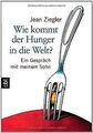 Wie kommt der Hunger in die Welt?: Ein Gespräch mit... | Buch | Zustand sehr gut