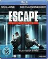 Escape Plan [Blu-ray] von Hafström, Mikael | DVD | Zustand sehr gut