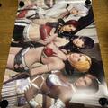 Dead or Alive 6 Bath Poster Anime Goods From Japan