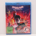 Spider-Man: Across the Spider-Verse | Bluray