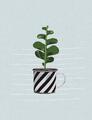 Plant it - Love it! Notizheft Tasse mit Pflanze | Deutsch | Taschenbuch | 64 S.