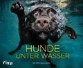 Hunde unter Wasser - Seth Casteel -  9783742311740