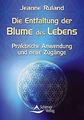 Die Entfaltung der Blume des Lebens - Praktische Anwendu... | Buch | Zustand gut