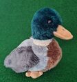 Jake die Stockente Ente TY Beanie Buddies ca 25cm Stofftier Kuscheltier Plüsch