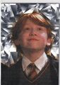 Panini Harry Potter Evolution Nr. 3 Friends for Life Fragmented Reality Parallel