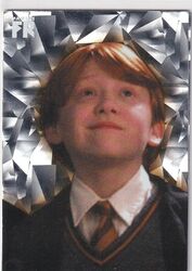 Panini Harry Potter Evolution Nr. 3 Friends for Life Fragmented Reality Parallel