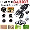 Mini 1600X Digital 8 LED Mikroskop Lupe Fach Endoskop HD Microscope Kamera USB