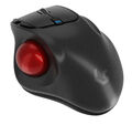 Keysonic KSM-6101RF-EGT Ergonomische Trackball Maus 60987 B-Ware