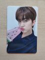 K-Pop Kpop verschiedene YOUNITE POBs Photocards Road To Kingdom MAKESTAR Another