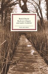 Buckower Elegien und andere Gedichte | Bertolt Brecht | Buch | Insel-Bücherei