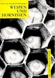 Wespen und Hornissen | Friedrich Schremmer | Taschenbuch | Deutsch | 2004