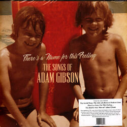 Adam Gibson - The Songs Of Adam Gibson (Vinyl LP - 2020 - US - Original)