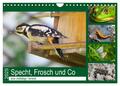 Specht, Frosch und Co - eine vielfältige Tierwelt (Wandkalender 2025 DIN A4 quer