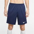 NIKE Herren Shorts Kurze Hose Laufshorts Jogging Fitness Polyester Sport Fußball