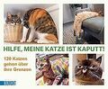 Hilfe, meine Katze ist kaputt: 120 Katzen gehen übe... | Buch | Zustand sehr gut