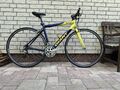 Jugend Rennrad Giant Alu 50cm Flatbar Shimano 105 2x10