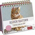 Kluge Katzen 2021: Aufstell-Kalender mit Wochenkale... | Buch | Zustand sehr gut