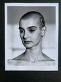 SINEAD O'CONNOR - Seltenes VINTAGE Original Pressefoto von HERB RITTS 1990