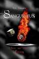 Sanguineus - Band IV: Spiel mit dem Feuer  Buch