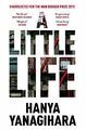 A Little Life by Yanagihara, Hanya 1529061245 FREE Shipping