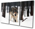 Animals White Wolf Wild TREBLE Leinwand Wand Kunst Bild drucken