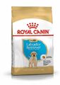 3182550725507 ROYAL CANIN BHN Labrador Retriever Puppy - Trockenfutter für Welpe