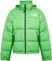 THE NORTH FACE 1996 RETRO NUPTSE DOWN JACKET HERREN DAUNENJACKE NF0A3C8D8YK