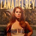 LANA DEL REY Born To Die - The Paradise Edition - LP / Vinyl (Limited Slipcase)