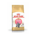 ROYAL CANIN Britisch Kurzhaar 2 kg britisches Futter