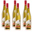 Moselland Riesling Hochgewächs Steillage QbA, lieblich, Weinpaket (6x0,75l)