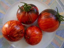 76 verschiedene Tomaten  Tomatensamen Samen Gemüse