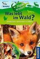 Mein erstes Was lebt im Wald?: entdecken, erkennen, erle... | Buch | Zustand gut