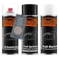 Lack Spraydosen Set Kunststoff für Buick Cadillac WA478N Skid Silver Metallic