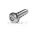 Linsenkopfschrauben DIN 7985 TORX M2 M2,5 M3 M4 in Längen 3-70 mm EDELSTAHL A2 