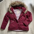 Hollister Winterjacke Gr. M