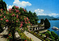 Alte Postkarte - Lago Maggiore - Isola Bella - Terrazze Giardino