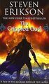 Malazan Book of the Fallen 10. The Crippled God von Stev... | Buch | Zustand gut