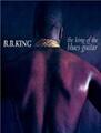 B.B. KING THE KING OF THE BLUES GUITAR (CD)