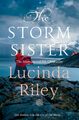 The Storm Sister | Buch | 9781529003468