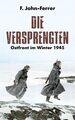 Die Versprengten | John-Ferrer | Buch | 216 S. | Deutsch | 2024