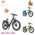 ENGWE E26 E Bike E Mountainbike 26 Zoll 250W Elektrofahrrad Fatbike 48V 16Ah