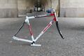 ORBEA LOBULAR Alloy Frame Zeus Carbon Fork Seatstay  / 54 cm / 1.937g