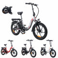 FAFREES F20 Klapprad Elektrofahrrad E-Bike 20 Zoll 250W Shimano Pedelec Citybike