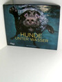 Hunde unter Wasser Seth Casteel. Übers. aus dem Engl. von T. A. Wegberg Casteel,