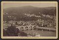 4255b❚ Kabinettfoto von ca.1890, Heidelberg