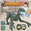 Ferngesteuerter Dinosaurier Spielzeug Kinder Dino Elektrospielzeug Velociraptor